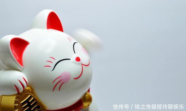  个人账户|存钱养老和社保养老，哪个更划算？