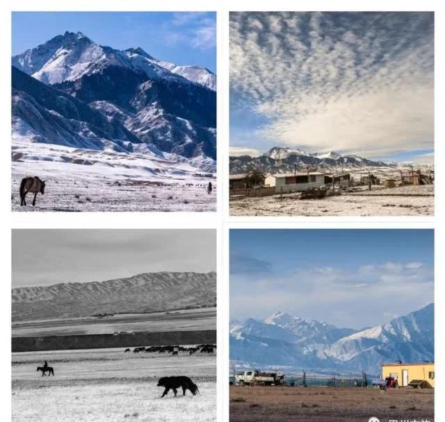 大美新疆，上眼胡杨