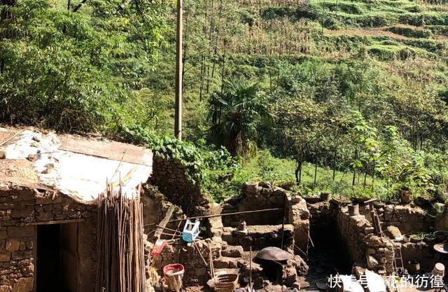 云南有一村子藏于天坑中,隐居几十年,被称为现实“世外桃源”