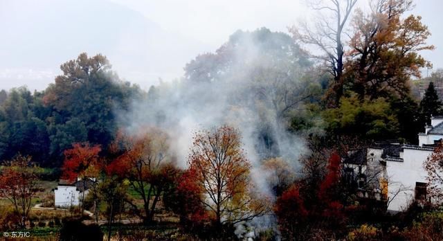 新补贴！拆除自家土灶台，最高可领2000元，乡亲们愿意吗？