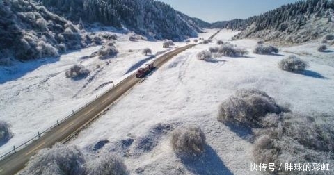 陈东阳全文免费阅读