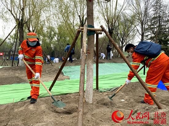  「生态」助推生态文明建设 北京东城开展全民义务植树活动