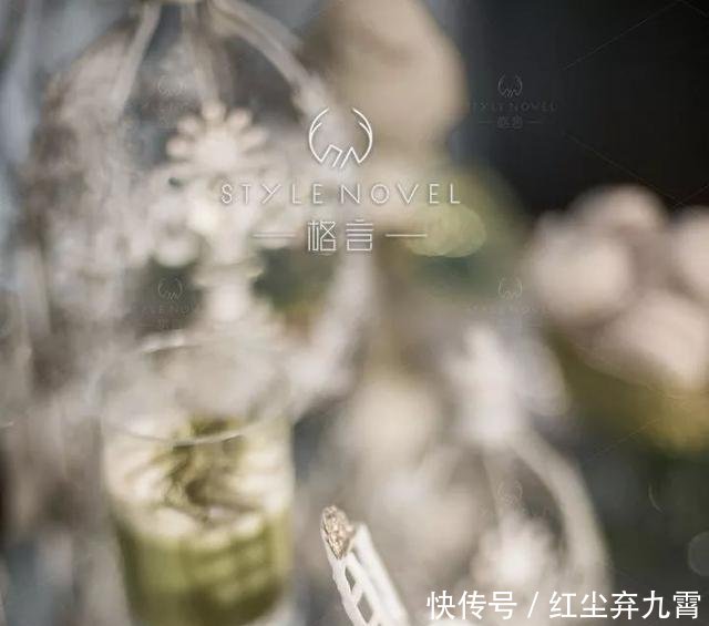 #花园#这场婚礼像极了花园中的清新邂逅