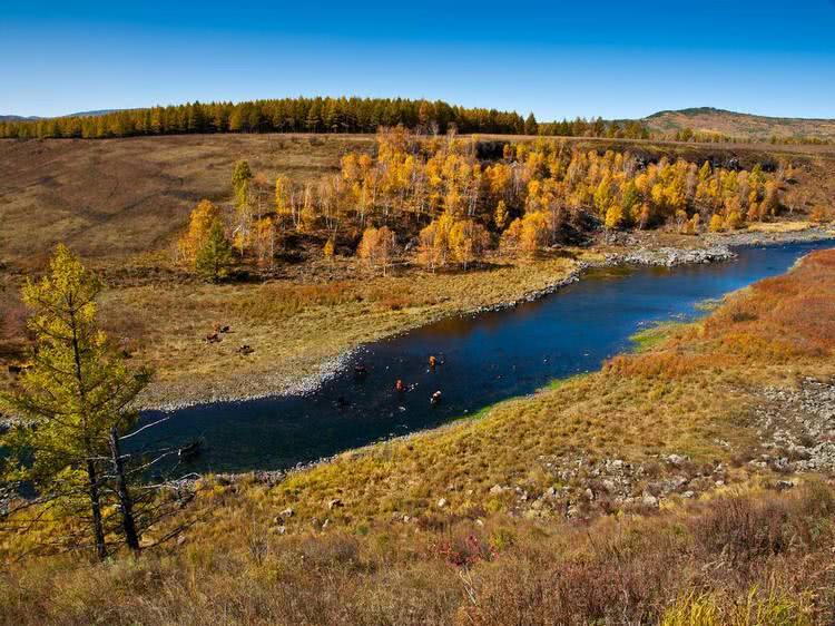 我国有一条“爱国河”，水从国内流到国外，溜一圈又回到了祖国！