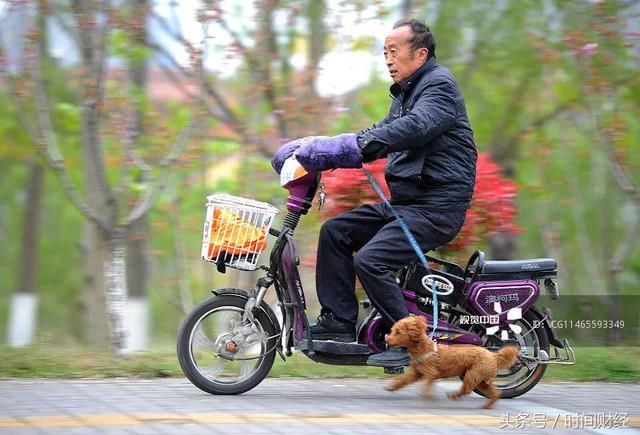 紧急减速：“北京新政”终结超标电动自行车 行业洗牌在即