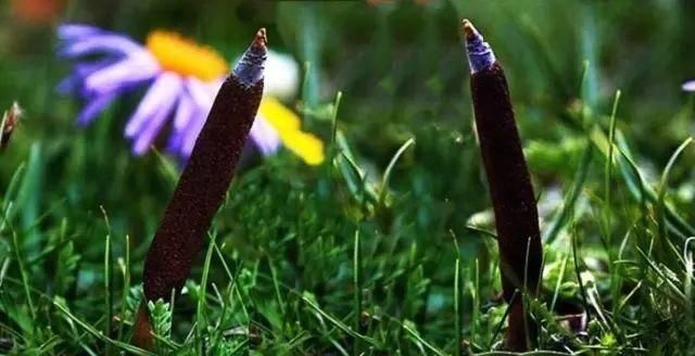 『青海』青海39个之最,不但在全国出名了,还有这么多世界级....