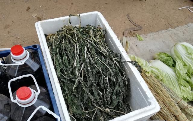  爷爷：农村变成了垃圾菜叶，给农民爷爷发了小金，镇上卖了15元