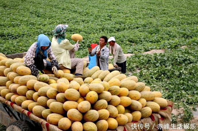 中国最特别的一座城市,因为水果而闻名,你知道