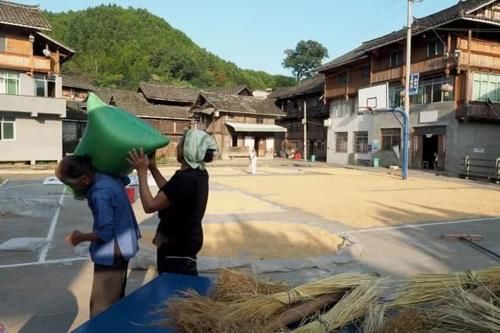 闻树义:百里侗乡