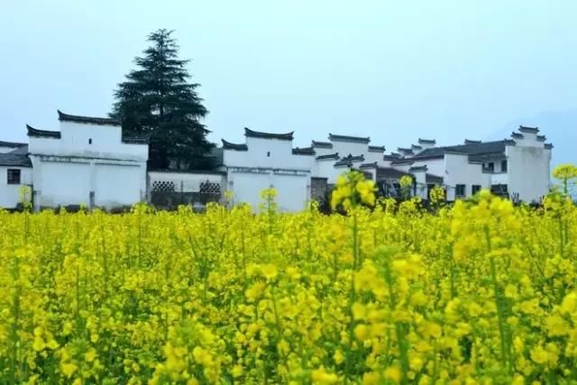 【图文】中式建筑“六大顶尖门派”，惊艳世人！