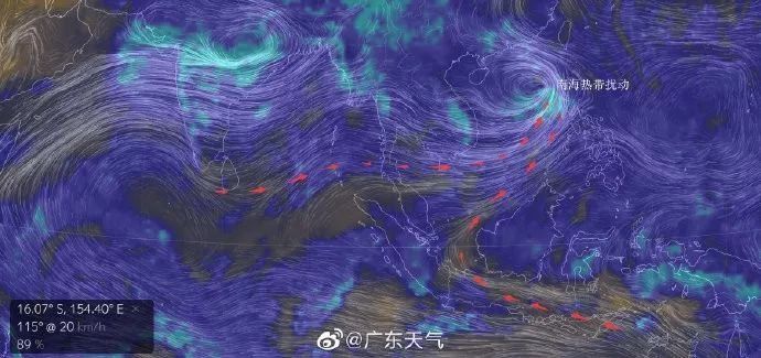  【蓝色】新台风来了!大暴雨+9级大风即将杀到，潮汕部分地区发布台风蓝色、白色预警!最新路径…