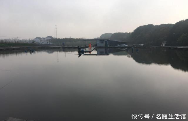『拿走』“鲢鳙总闹窝,钓起却不能拿走”,玩黑坑最怕遇到这4件事