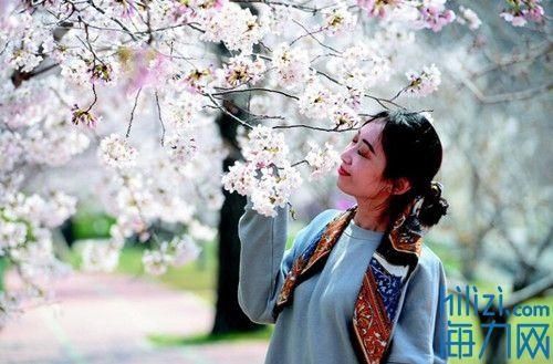  心思@“花”点心思 认认这些花儿