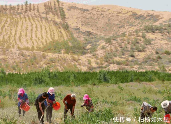 世界上最没面子的沙漠，中国花60年种满绿植，将被彻底消灭