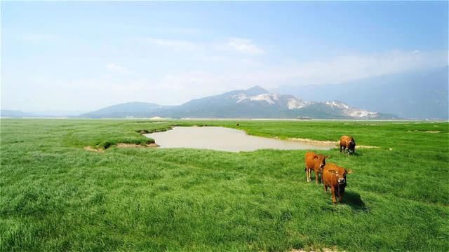 我国最长的铁路即将建成，耗资1900多亿，预计在2019年全面开通