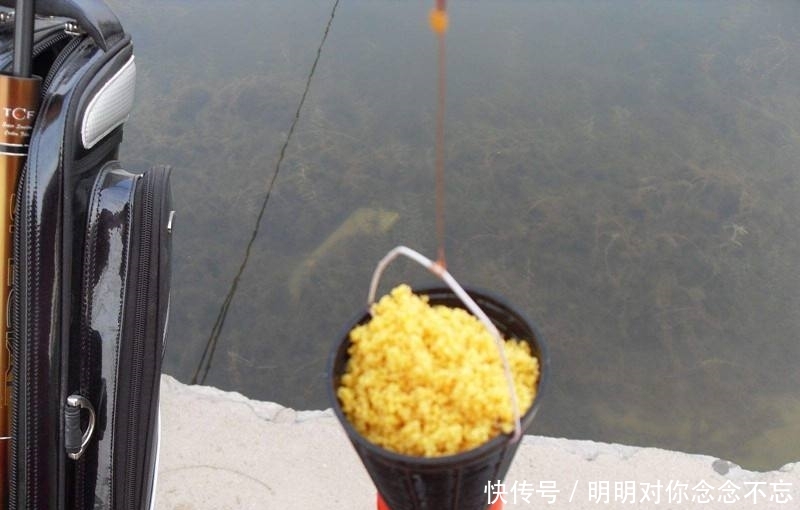 『鱼情』走水钓鱼并不难,这4点相结合,效果更好