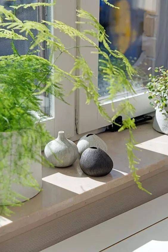  「植物叶片」切叶 | 插花造型艺术中的配角！