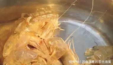 『拒绝』黑坑钓鲤鱼饵料配方,拒绝加入空军营