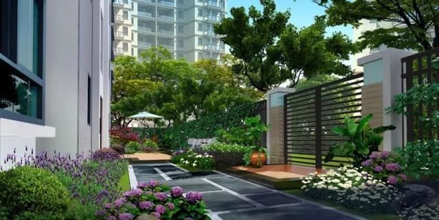  「花园」园艺，院子里到处都是美丽的地方