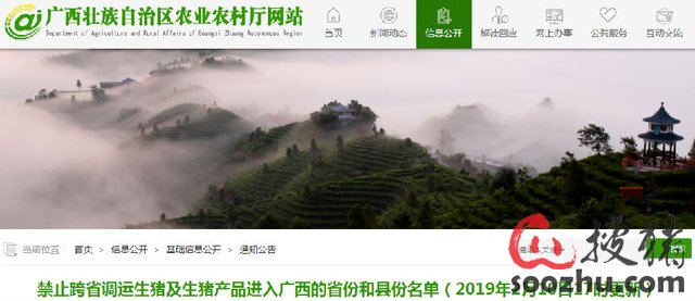 最新政策!禁止跨省调运生猪及产品进入广西名单