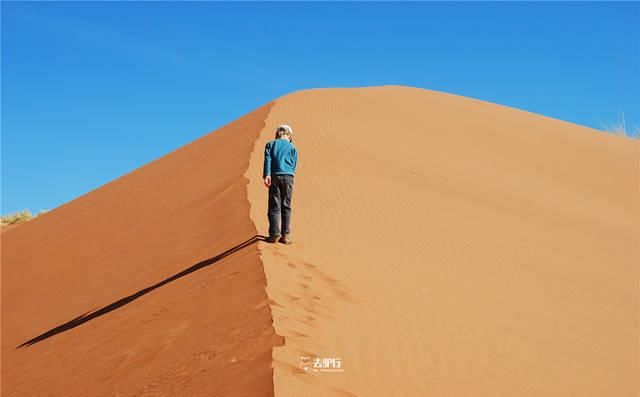 非洲最古老的沙漠：寸草不生却拥有大量动植物，困扰了无数专家