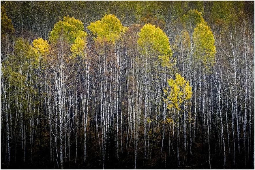 再过半个月,贝加尔湖的秋简直要逼疯摄影师!