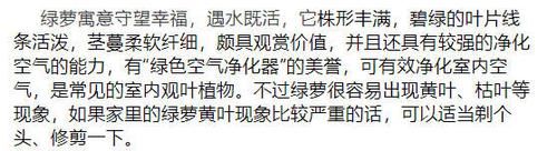  #新叶#三月给这五种花“剃个头”，新叶呼呼冒不停，越长越精神！