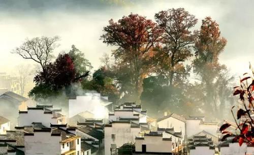 驿道古枫，世外桃源！婺源的秋天才真的是美哭了