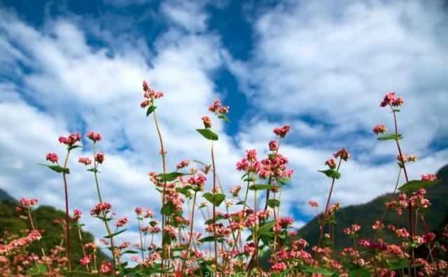  「叫板」四川敢叫板九寨沟和稻城亚丁的小城，美得惊人却很低调