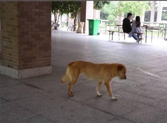 《武动乾坤》七夕求爱，绝美时装送给她