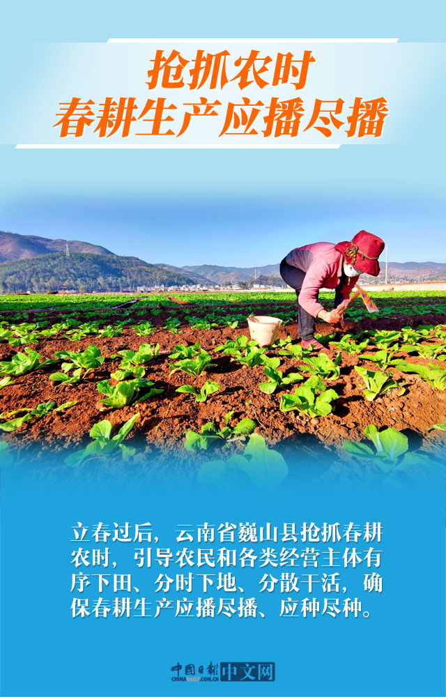  齐发■【图说中国经济】各地齐发力！疫情不减中国脱贫攻坚信心