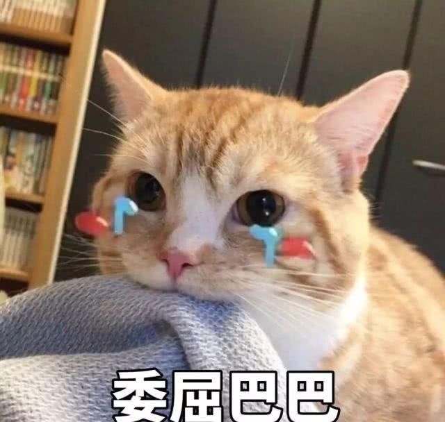 『时髦』今年春夏流行“上短下长”,太时髦了!