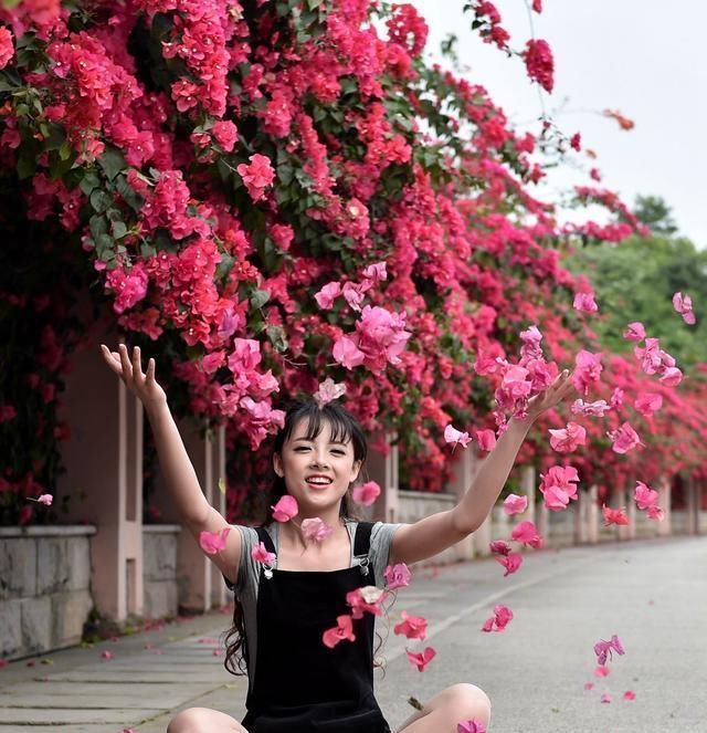  「巴西三角梅」绿萝赶紧扔了吧！此花爬藤能力强，只需2棵就可以爬出一面花墙
