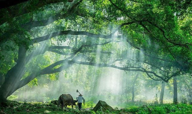 中国生态环境最好的三大省份,国字号荣誉,看看