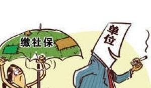 2019年1月1日起社保费用由税务征收制度改革为什么暂缓了？