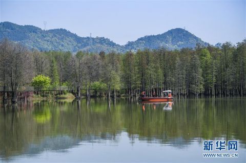 「临安」杭州临安：营造美丽水环境 打造生态好家园