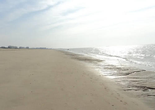 中国最有“价值”的沙漠,日本曾想用粮食换沙子,却没如其所愿