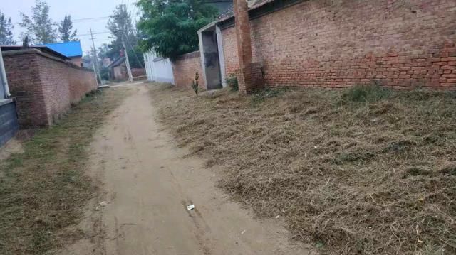  「农民」农村怎么这样了？作为70年代出生的1位农民，我有无限的