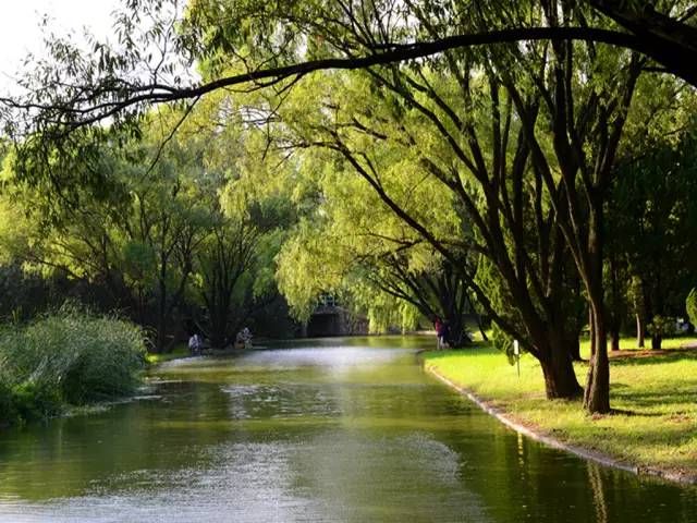 中国最美的30个地方（完整版）终于找齐了！第一居然是…