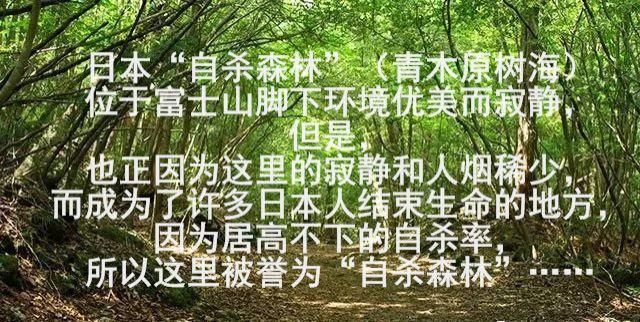关晓彤演技在线？刘涛蒋欣“塑料姐妹情”？张一山紧急就医？吴亦