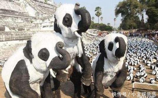 真是奇葩的民族,印度租借中国熊猫被拒绝,最后想出来这个办法