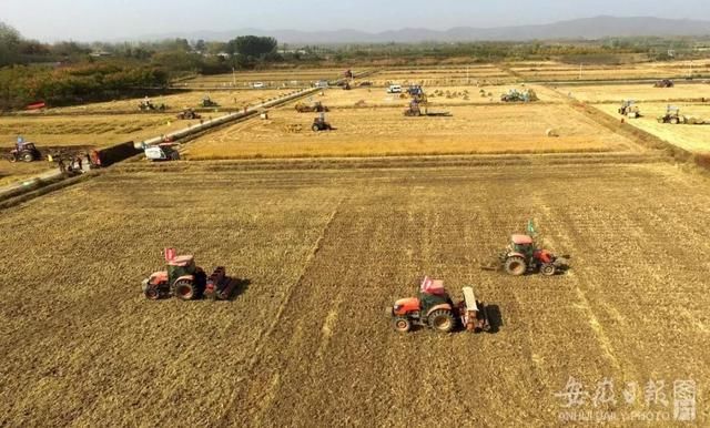  作出|特大干旱！安徽省委书记、省长作出批示