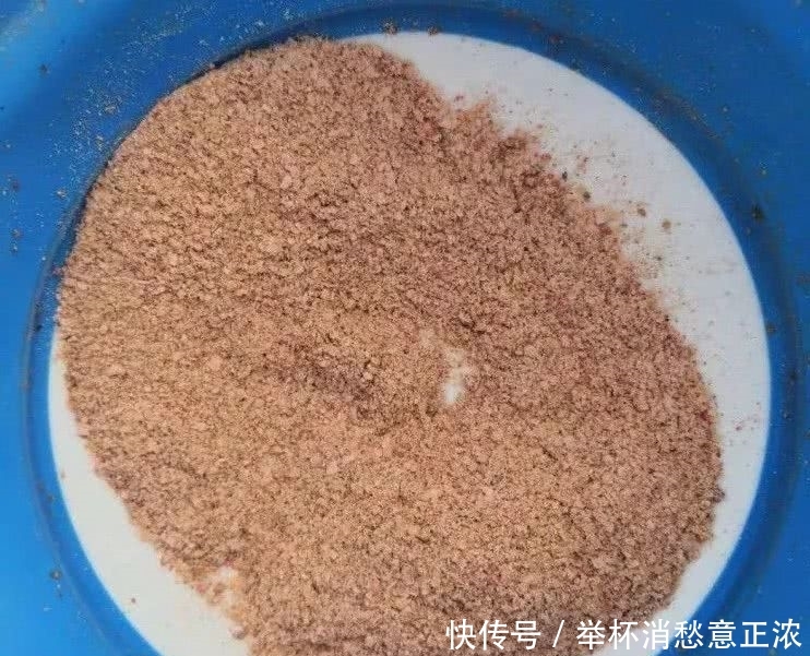  大蓝■大蓝鲫·腥世界爽钓鳊！爆护！爆护！