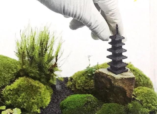 春色不仅在田野里，也可以刻在你家玻璃缸内的苔藓景观缸中！