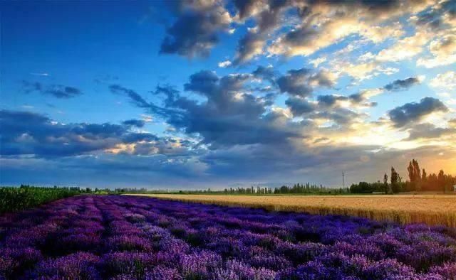 新疆伊犁,“塞外江南”