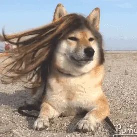  #老师#保姆级护发教程 | 再也不用等Tony老师营业啦！