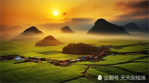 2月旅游哪里去？万亩油菜花田里逛一逛，美得简直不像话