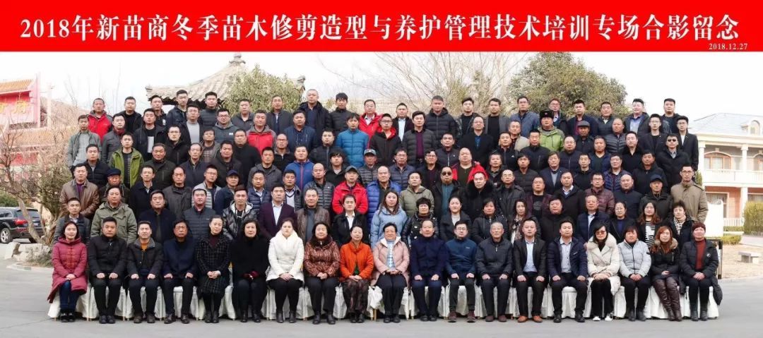 庭院深深，中式庭院 · 怡然自得