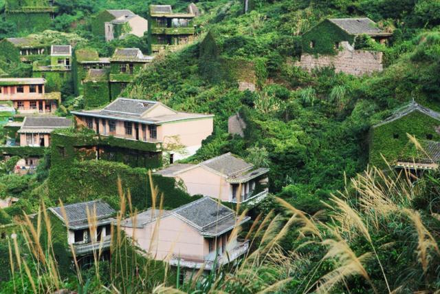 浙江这个小渔村,被人们“抛弃”20年后,如今美成了“绿野仙踪”