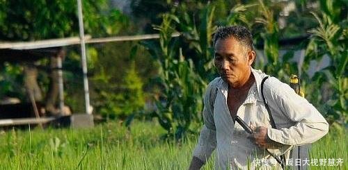  「村干部」九月起，村干部领取新任务，严查农村这一“行为”，